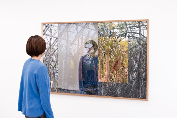 Instability(silver shadow) #Botanical garden 1