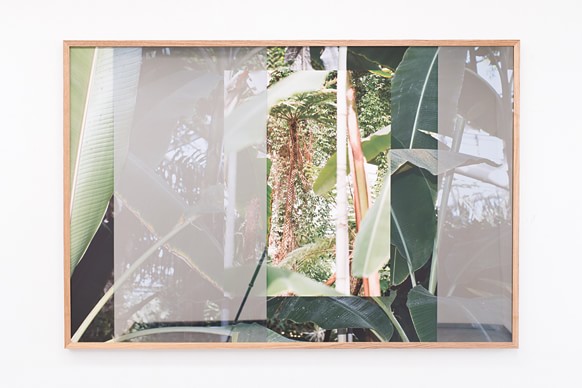 Instability(silver shadow) #Botanical garden 2