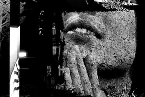 New Reflection #beard 2