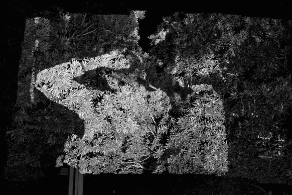 New Reflection (Texture of image) #club 2