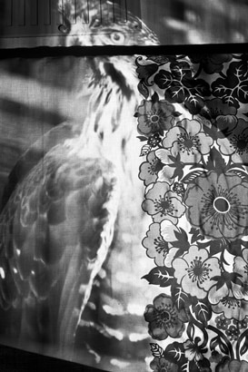 New Reflection (Texture of image) #eagle 1