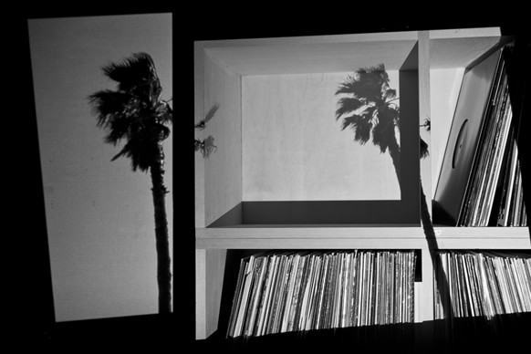 New Reflection (Texture of image) #palm 1