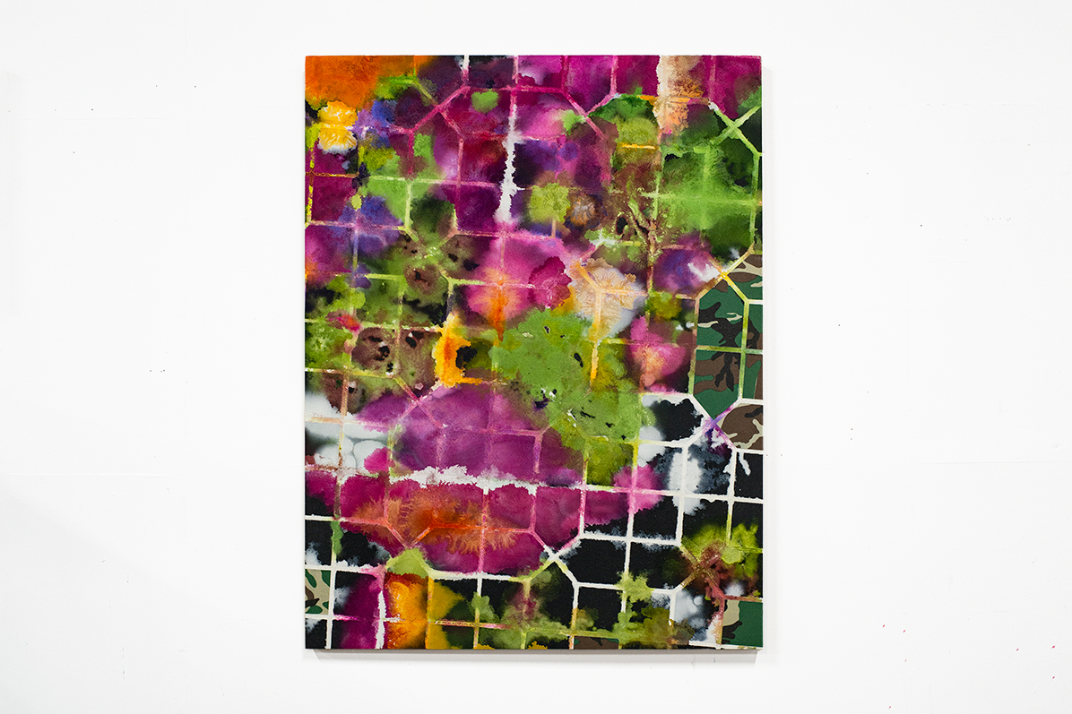 Shigam #Persicaria Capitata