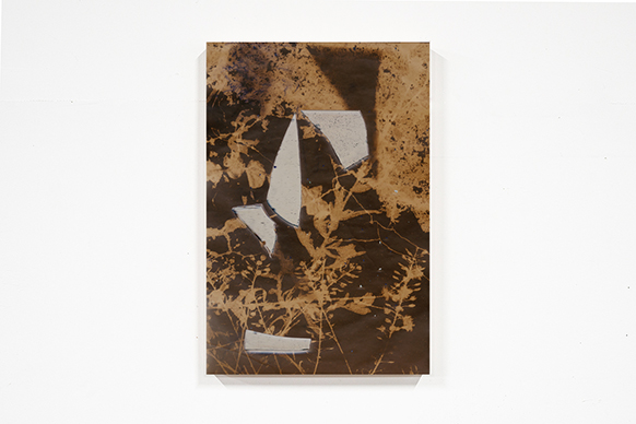 �G���̃|�[�g���[�g����ѓs�s�̒n���w