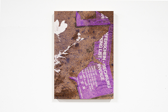 �G���̃|�[�g���[�g����ѓs�s�̒n���w