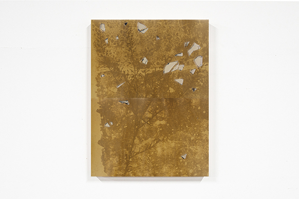 �G���̃|�[�g���[�g����ѓs�s�̒n���w