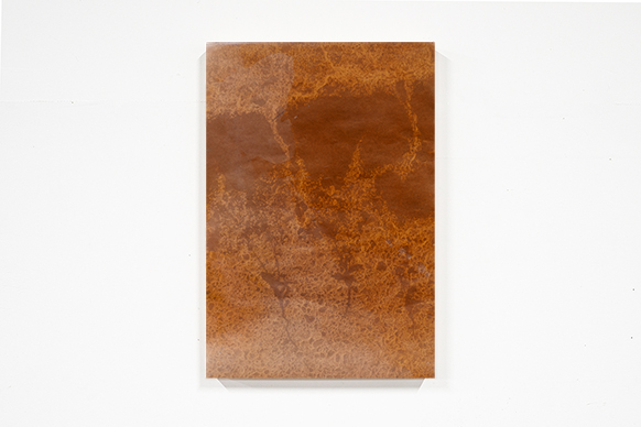 �G���̃|�[�g���[�g����ѓs�s�̒n���w