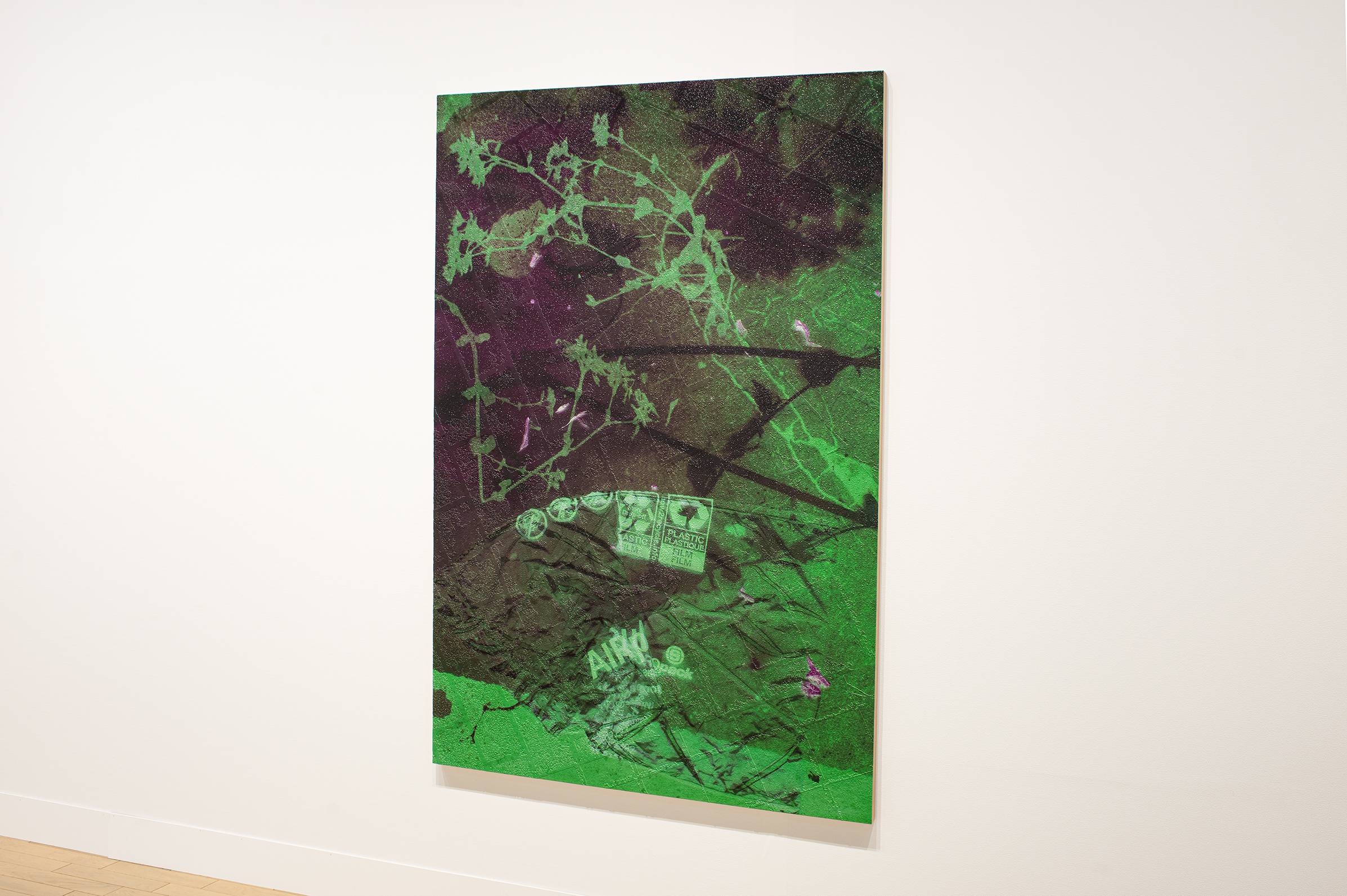 ����͐G���