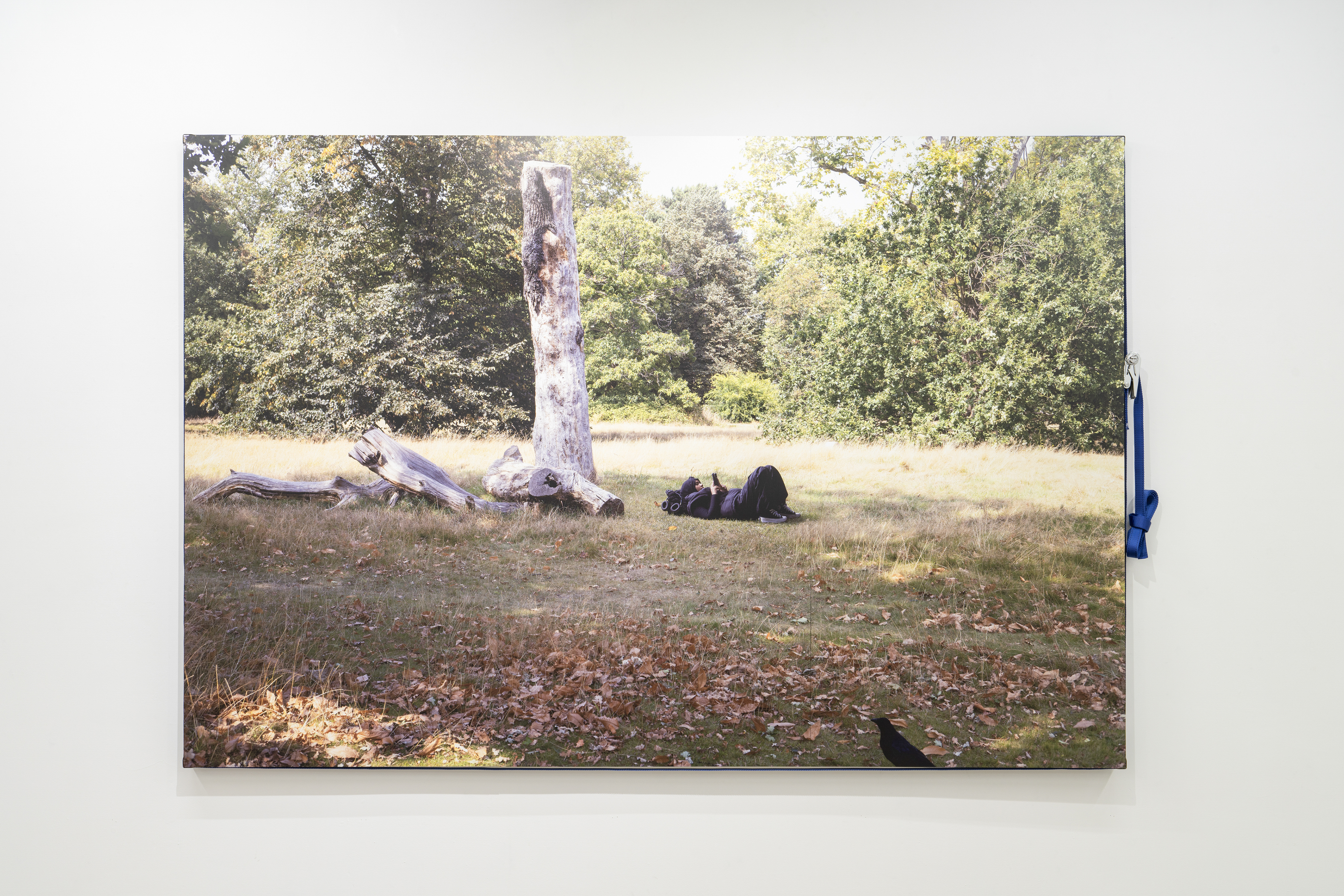 ��ɁA�X���z�ƁB