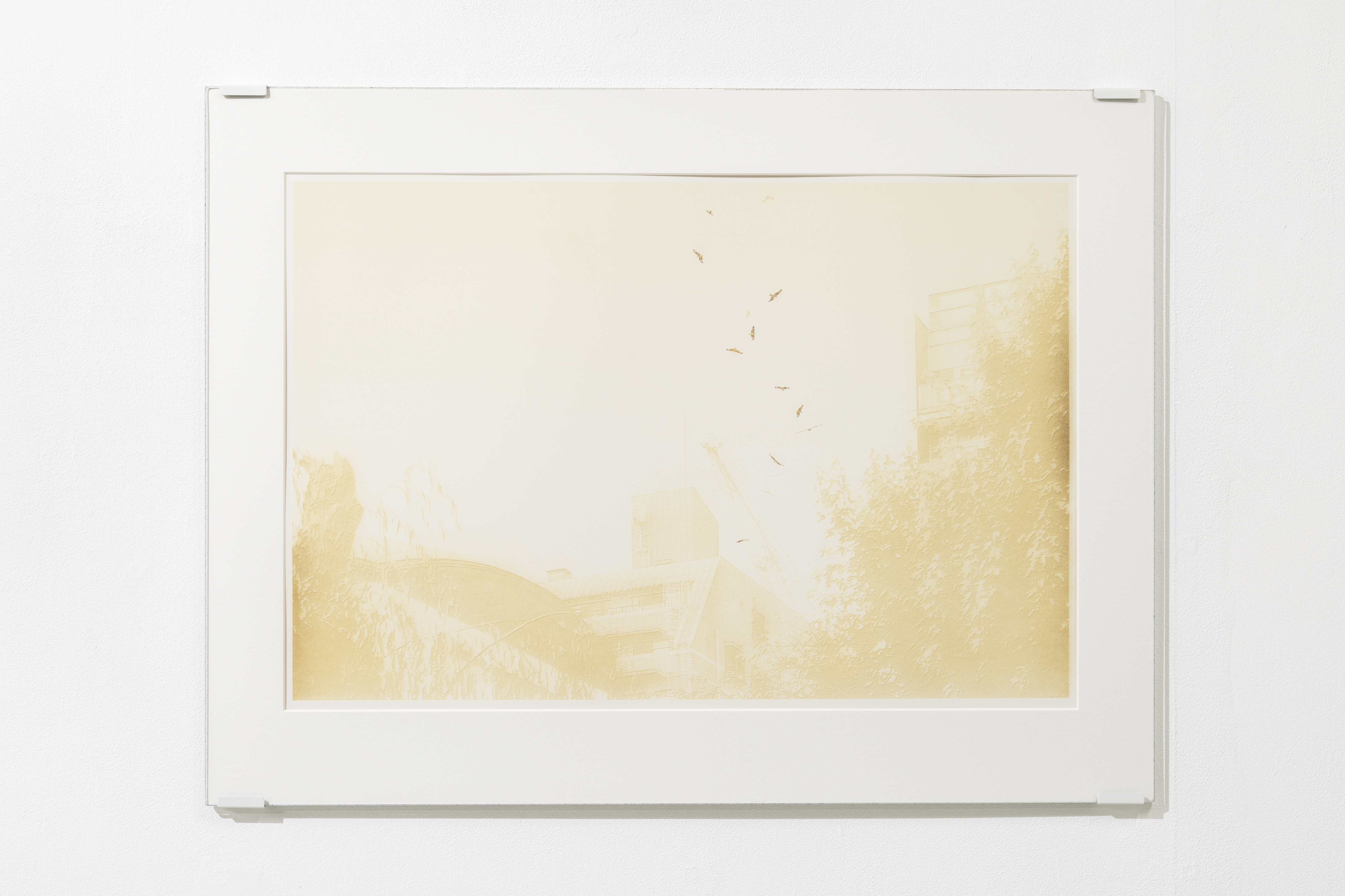 �΁i���邢�͖���j