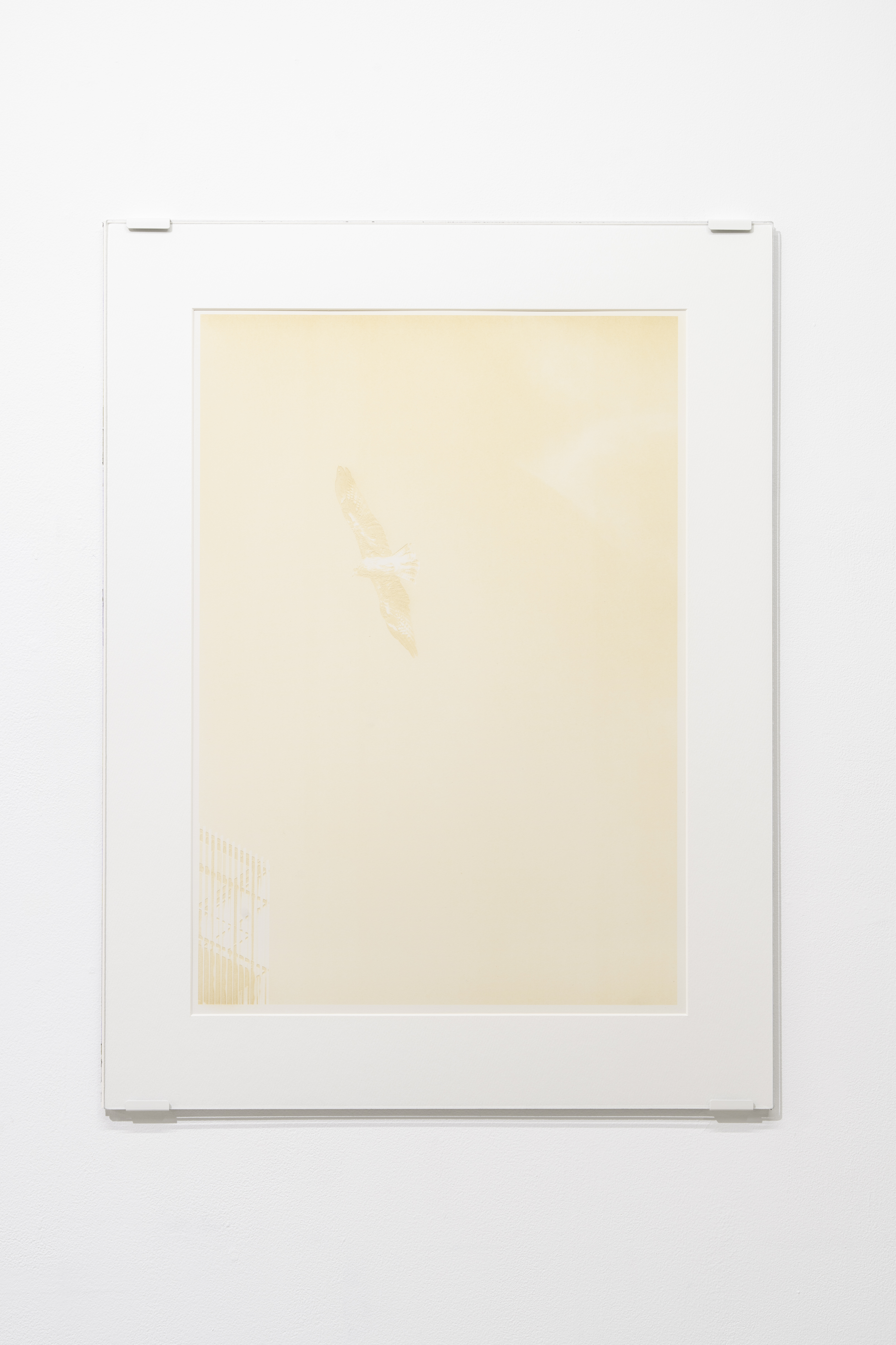 �΁i���邢�͖���j