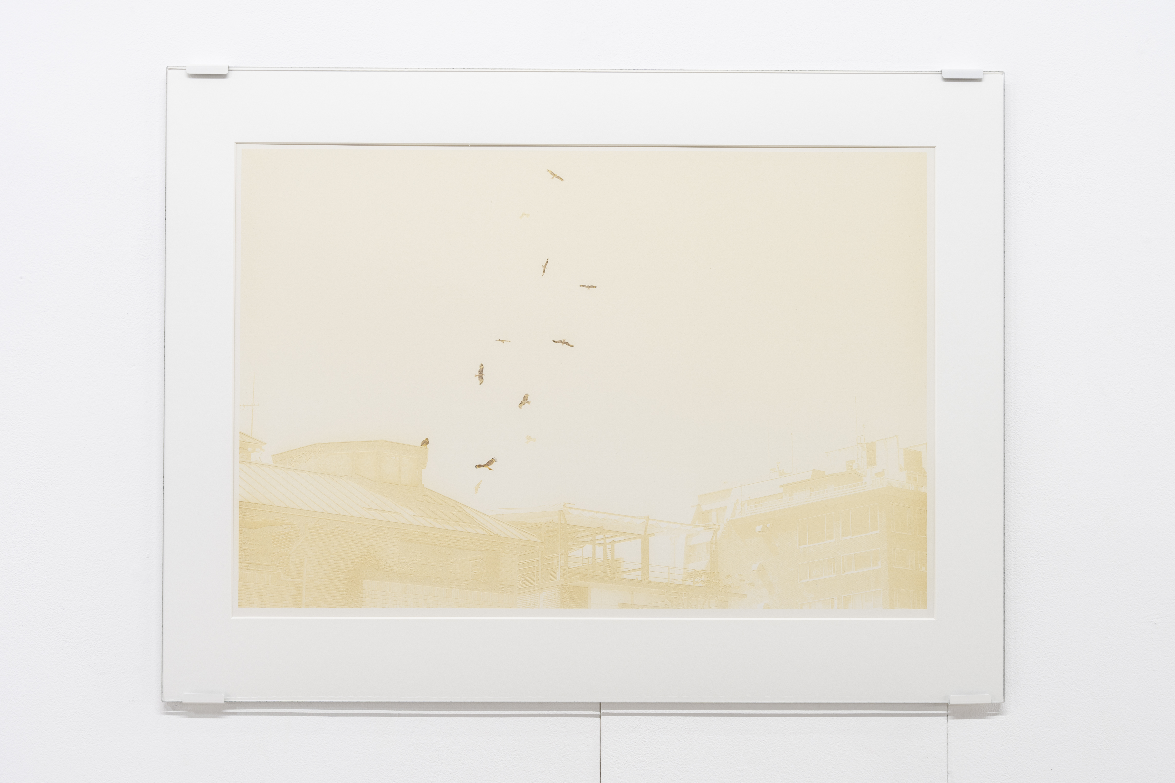 �΁i���邢�͖���j