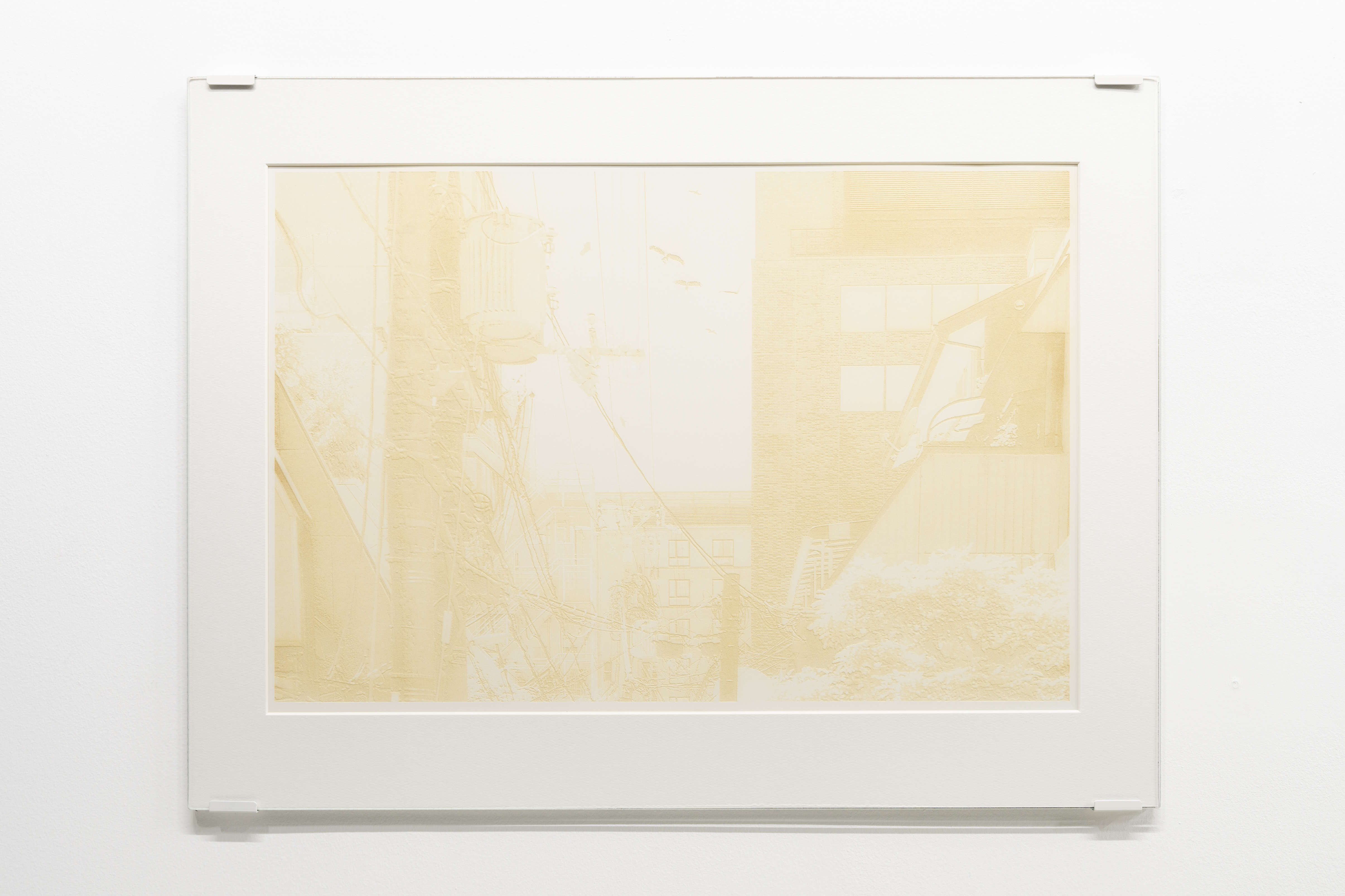 �΁i���邢�͖���j