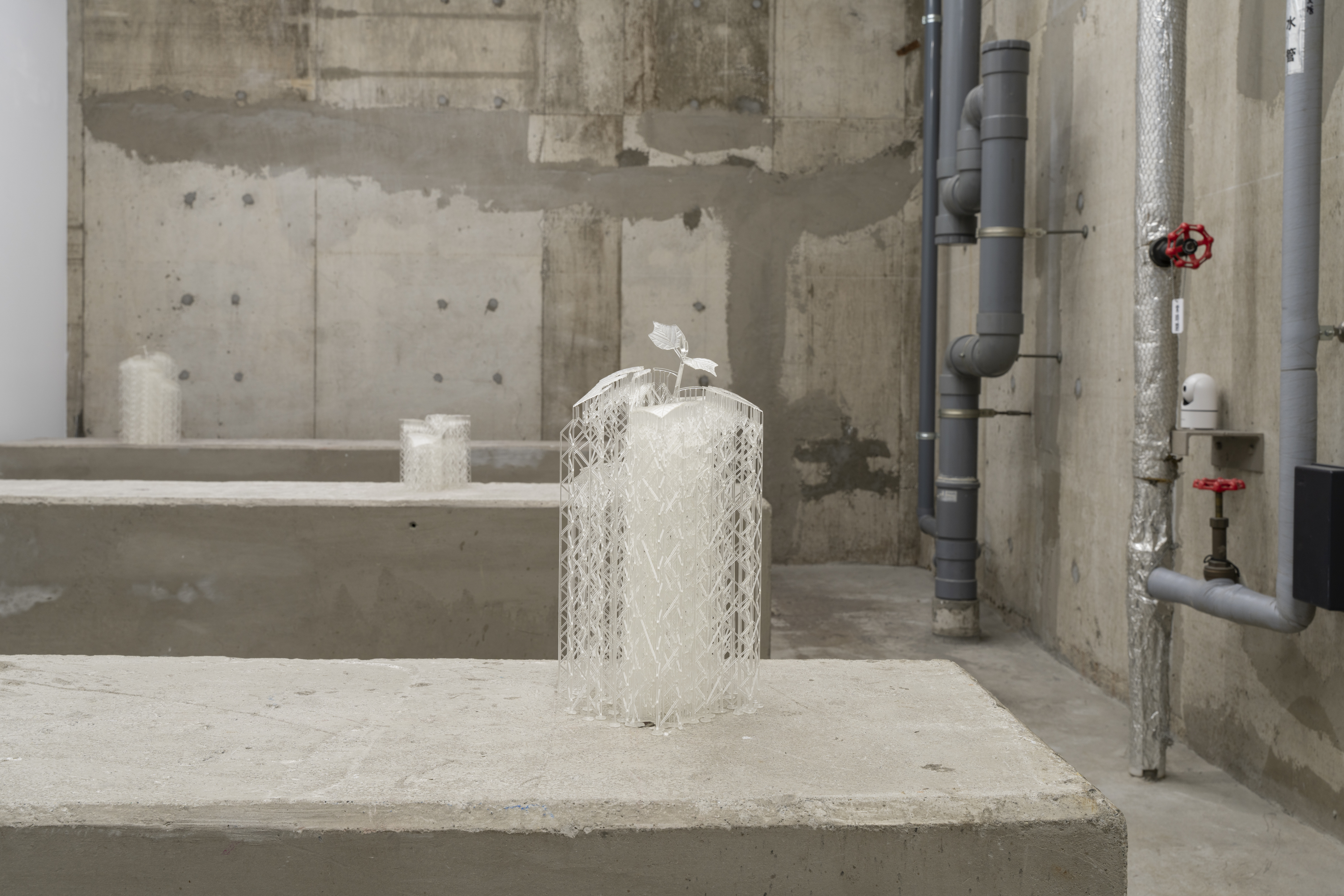 Pioneer Plants Printing Projects