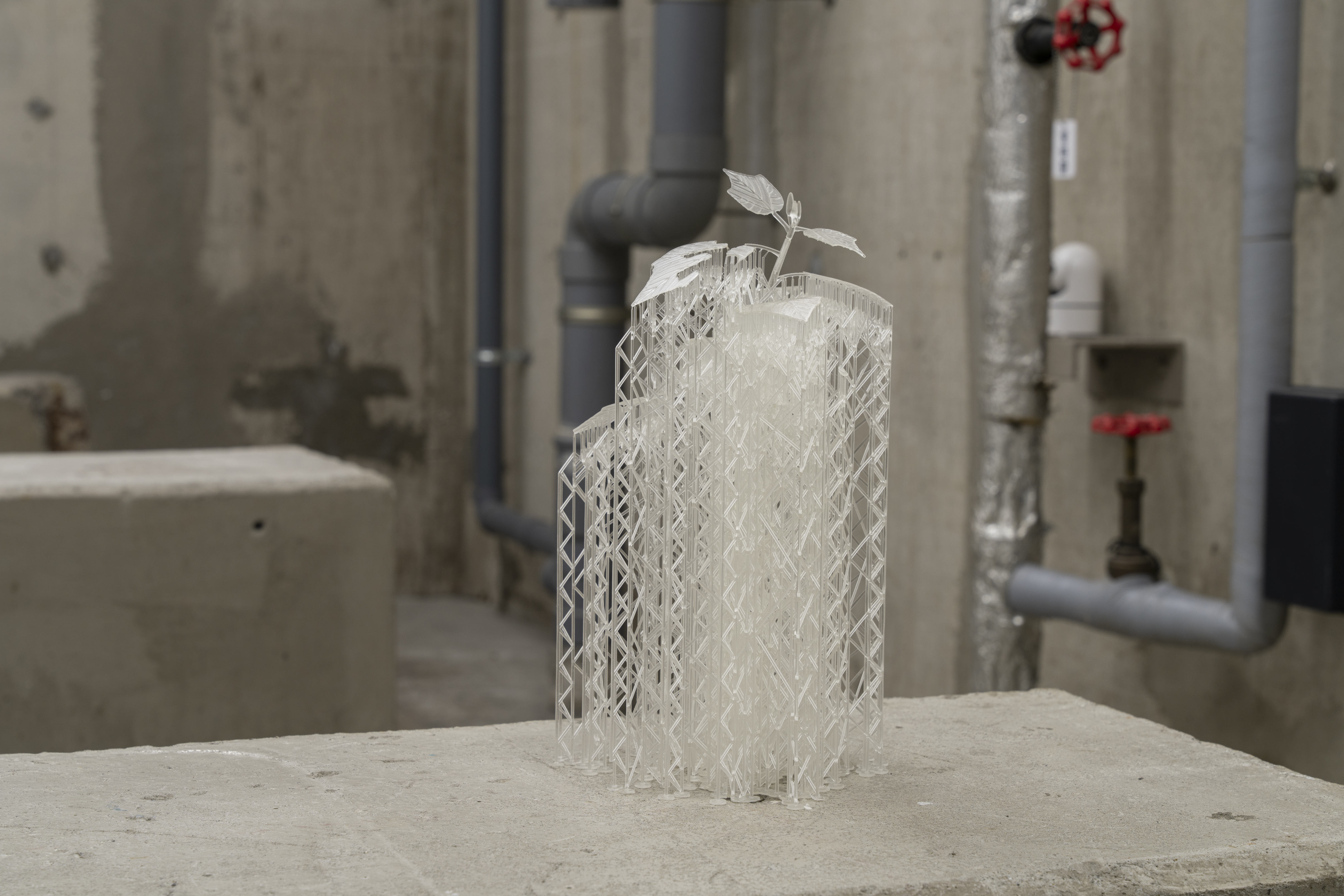 Pioneer Plants Printing Projects