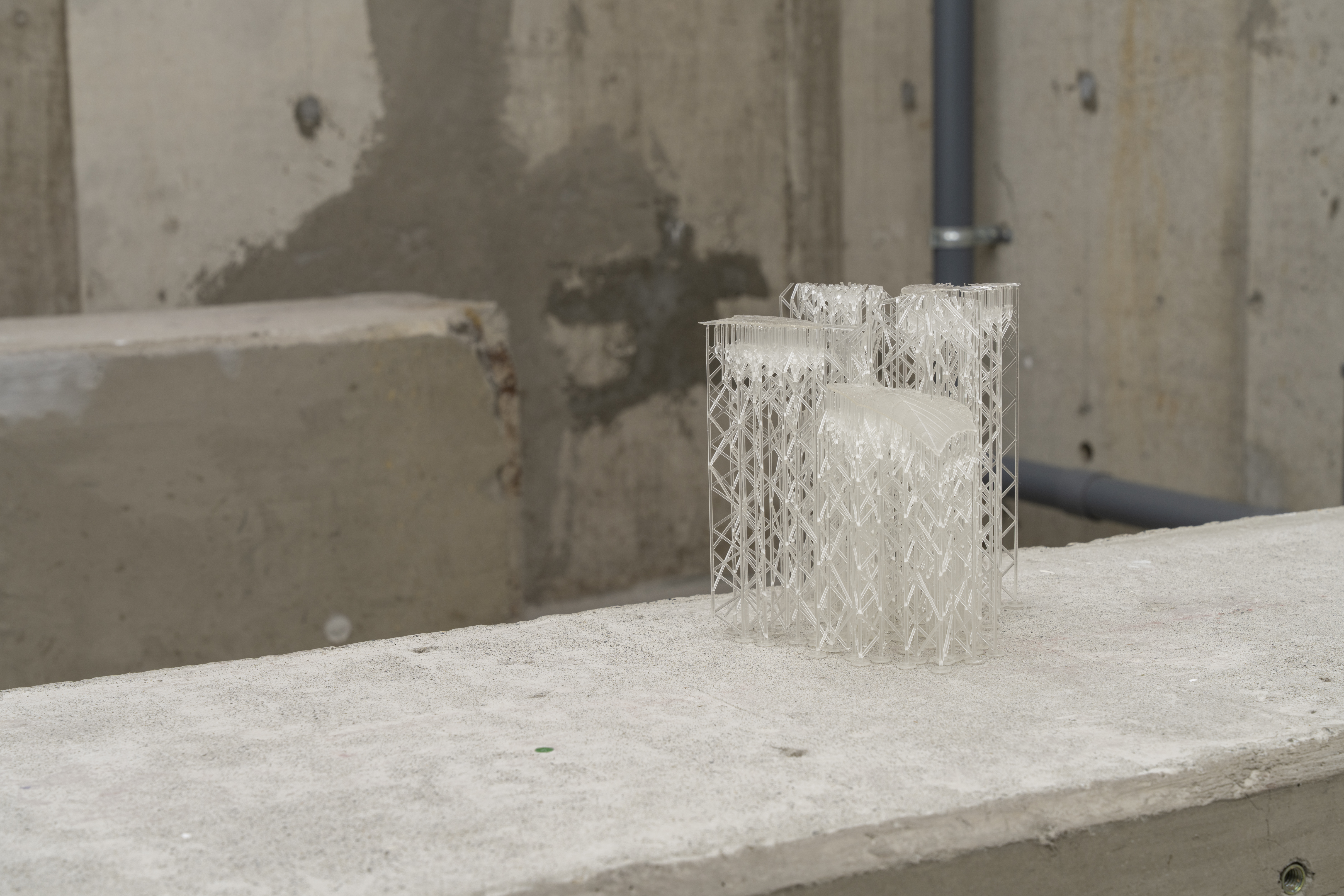 Pioneer Plants Printing Projects