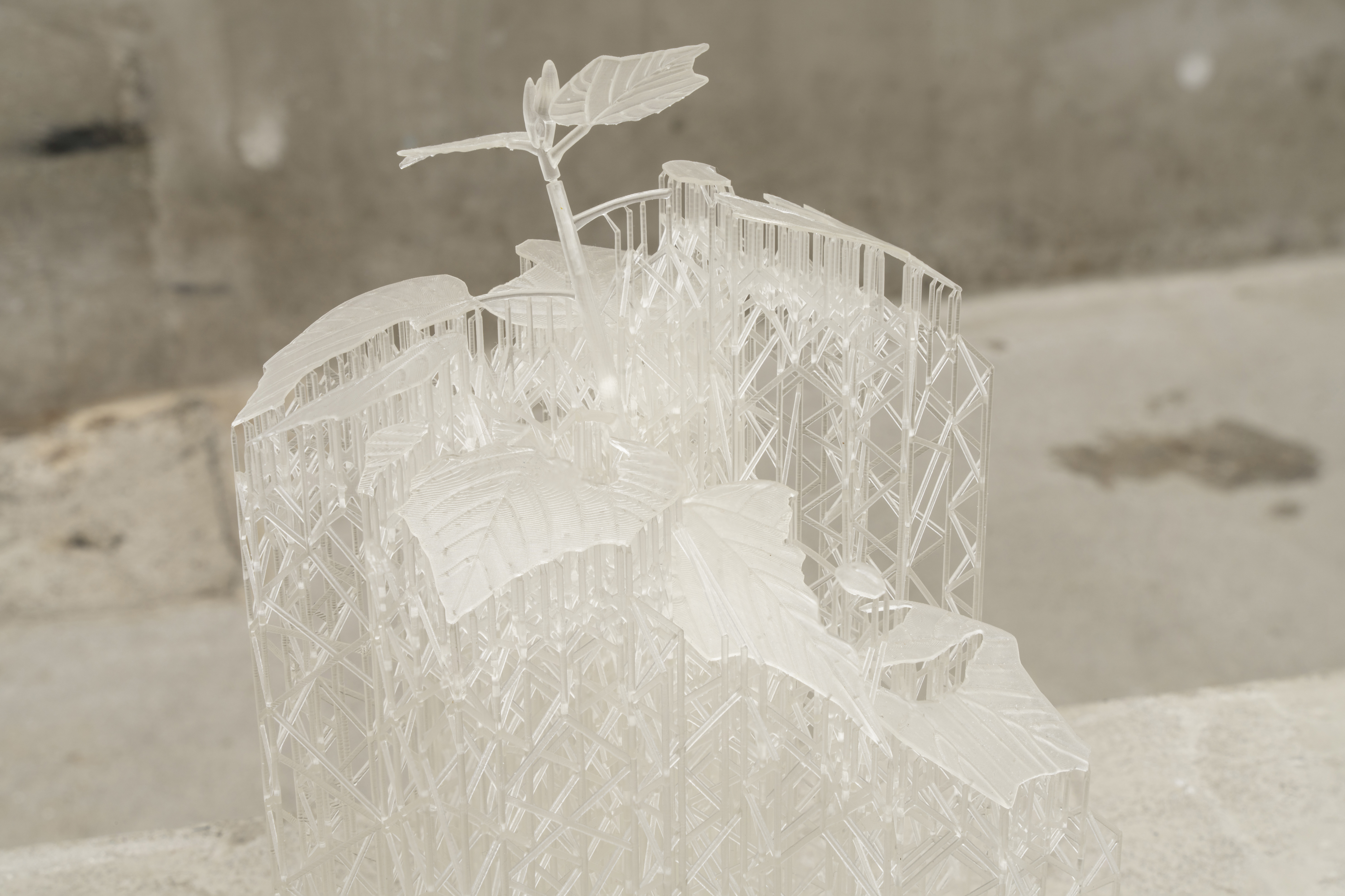 Pioneer Plants Printing Projects