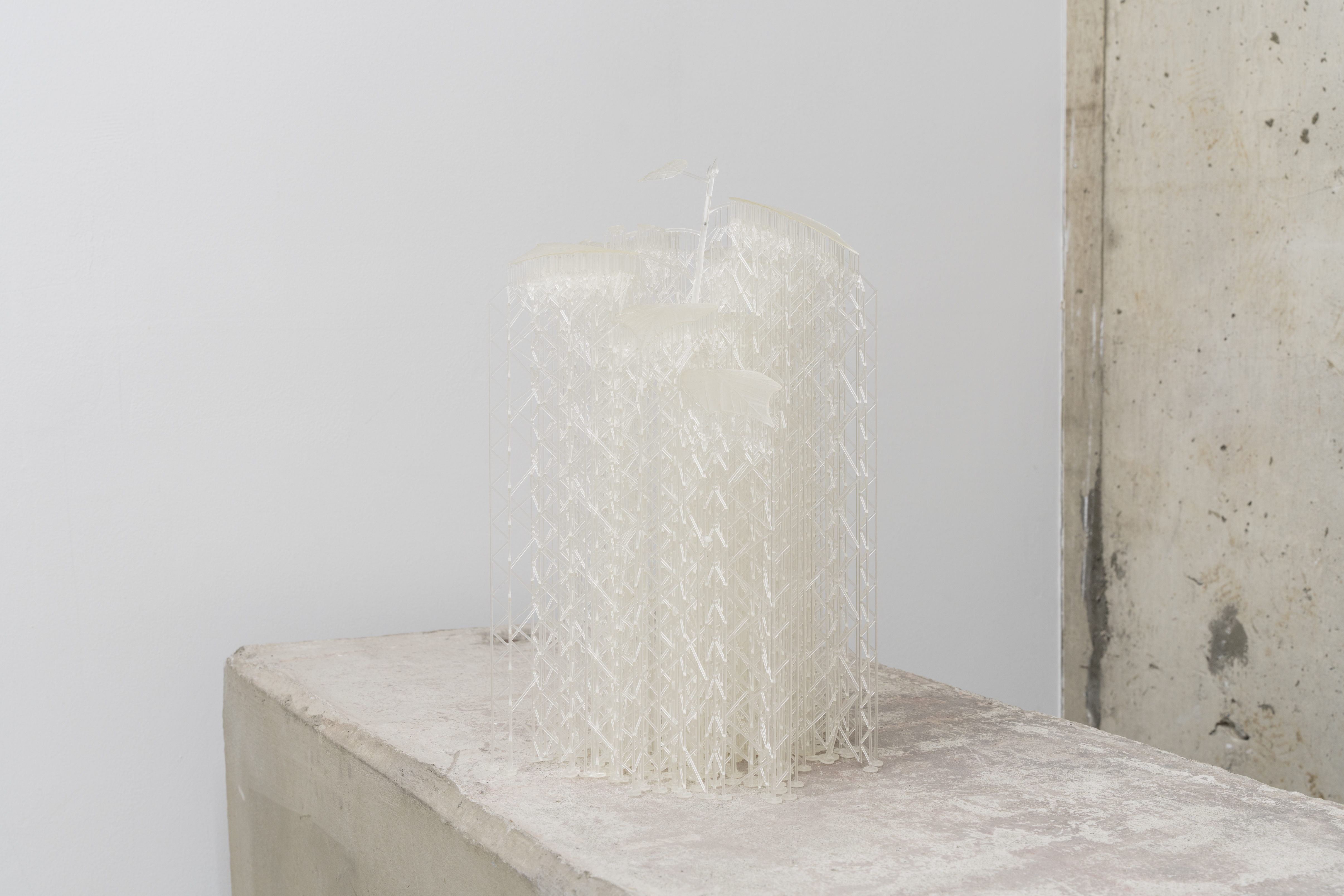 Pioneer Plants Printing Projects