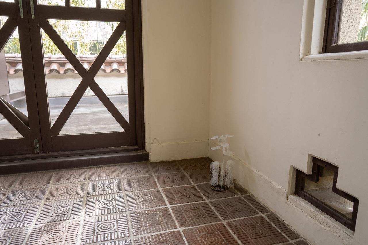 Pioneer Plants Printing Projects