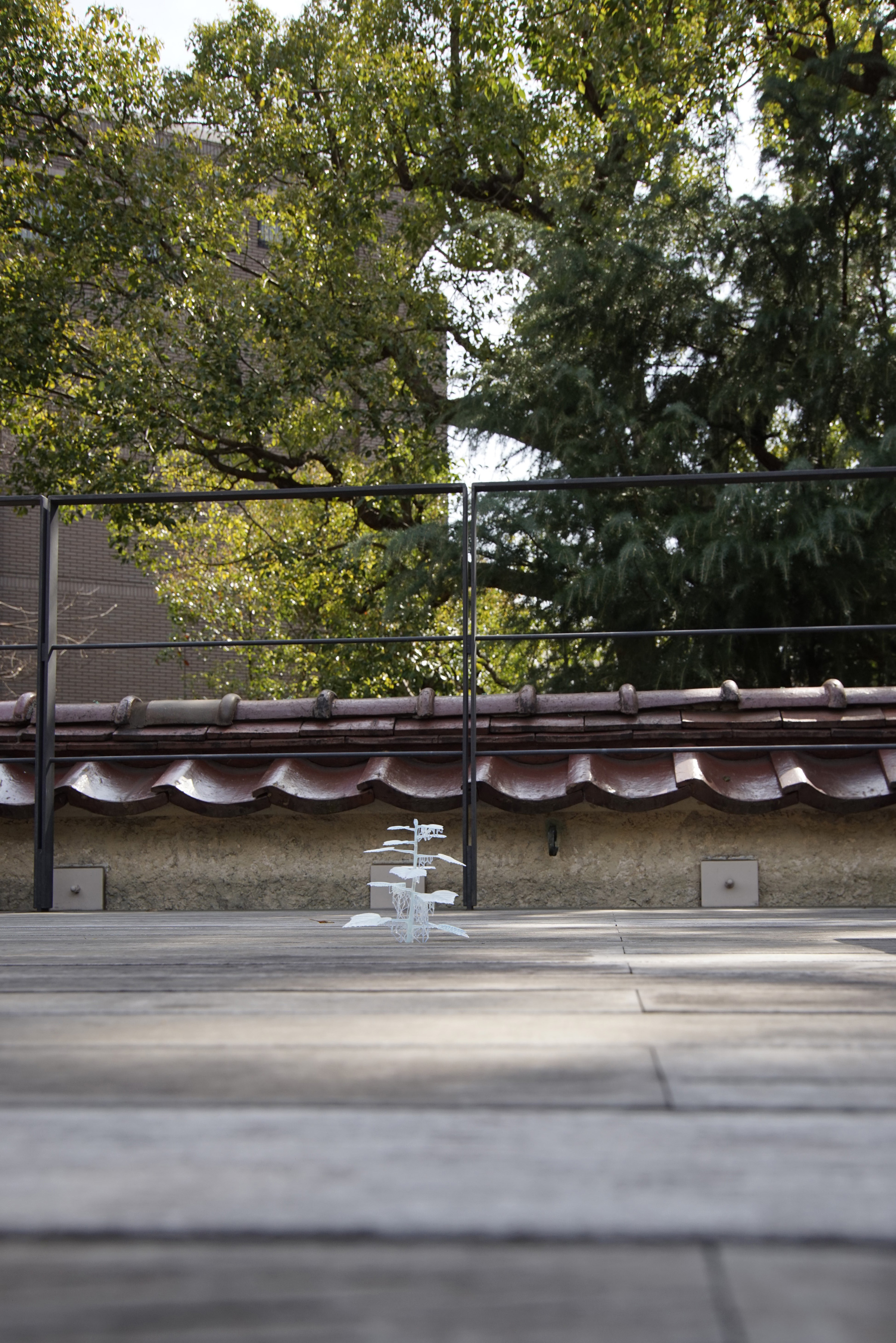 Pioneer Plants Printing Projects