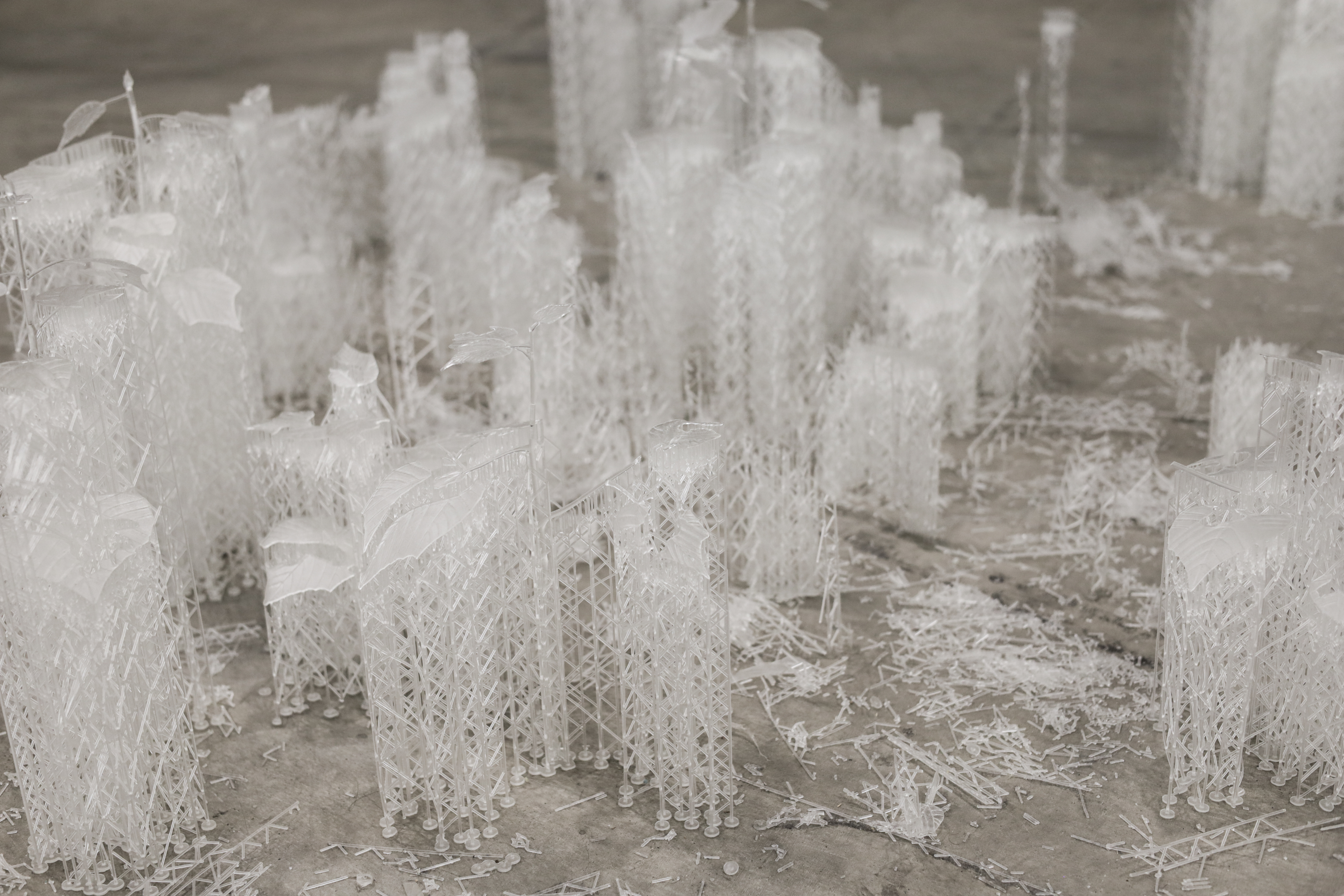 Pioneer Plants Printing Projects