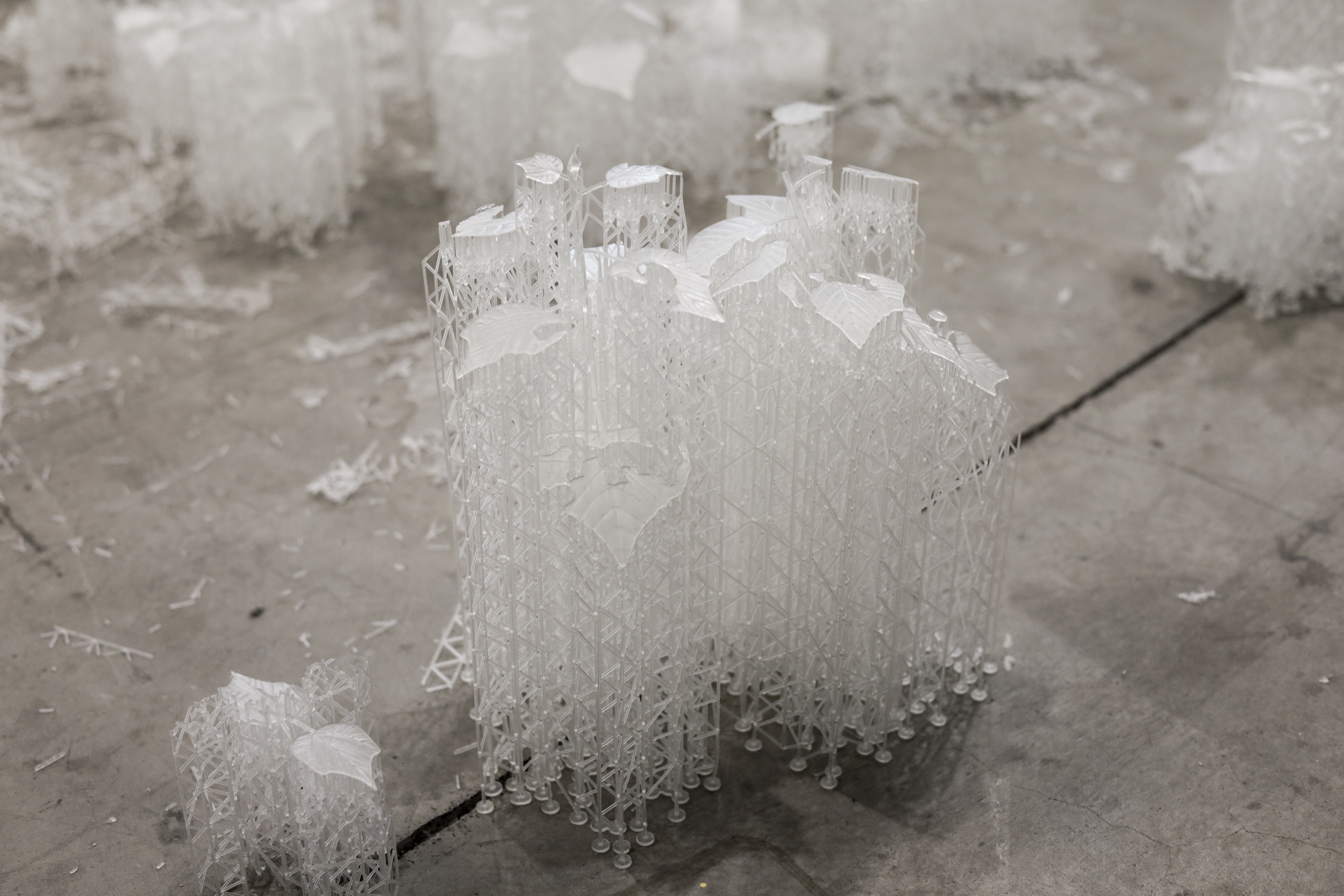 Pioneer Plants Printing Projects