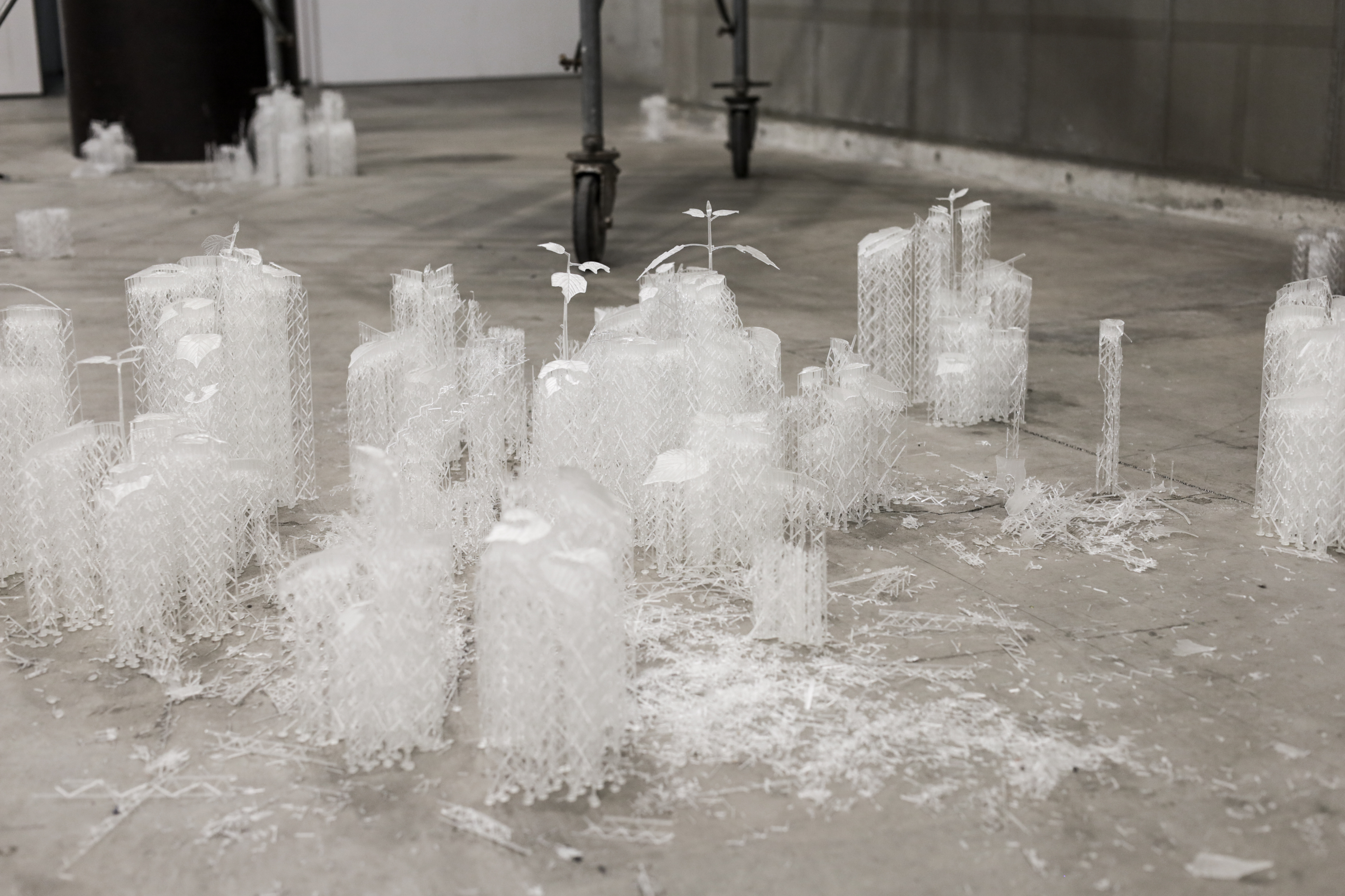 Pioneer Plants Printing Projects