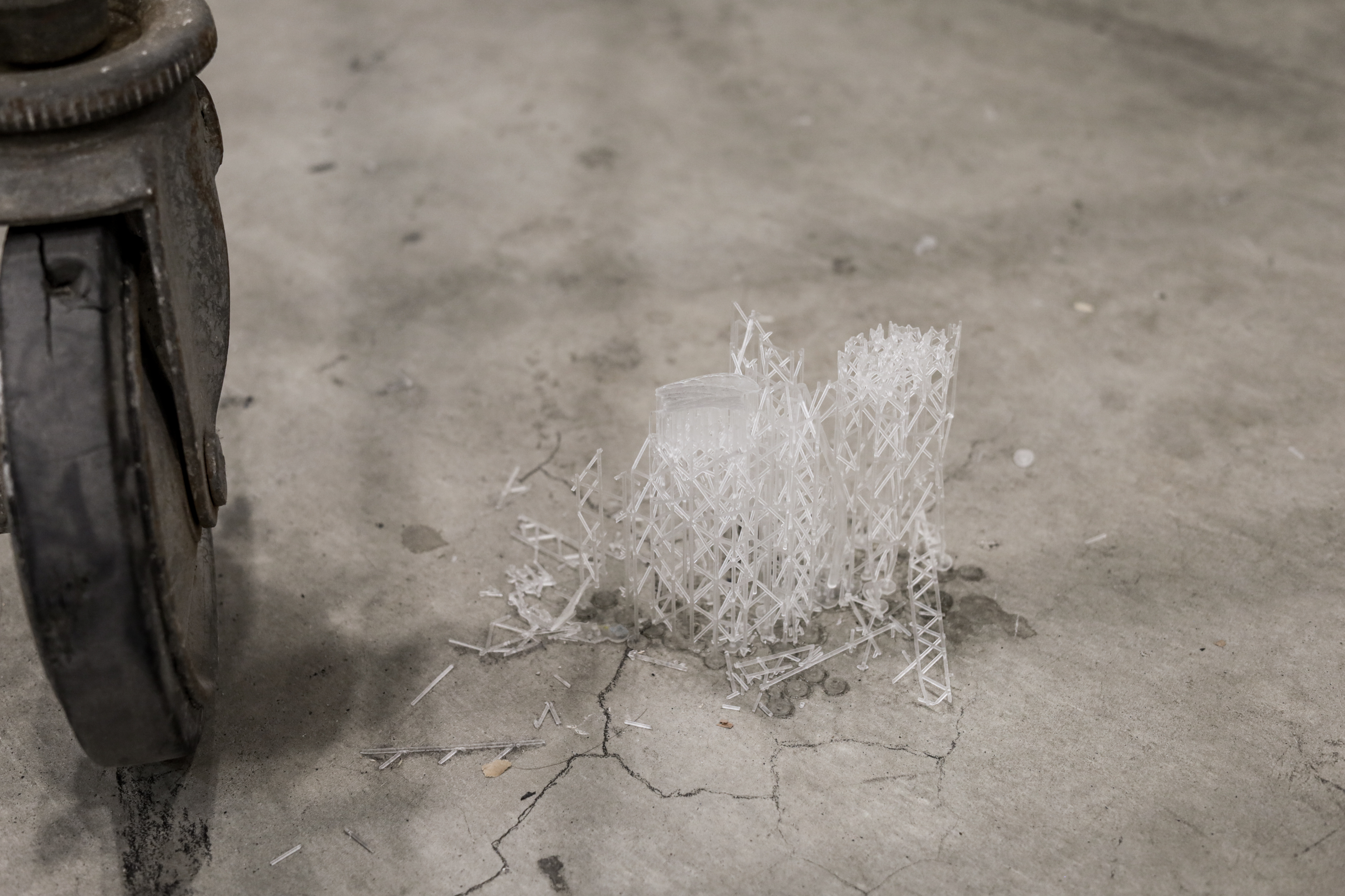 Pioneer Plants Printing Projects