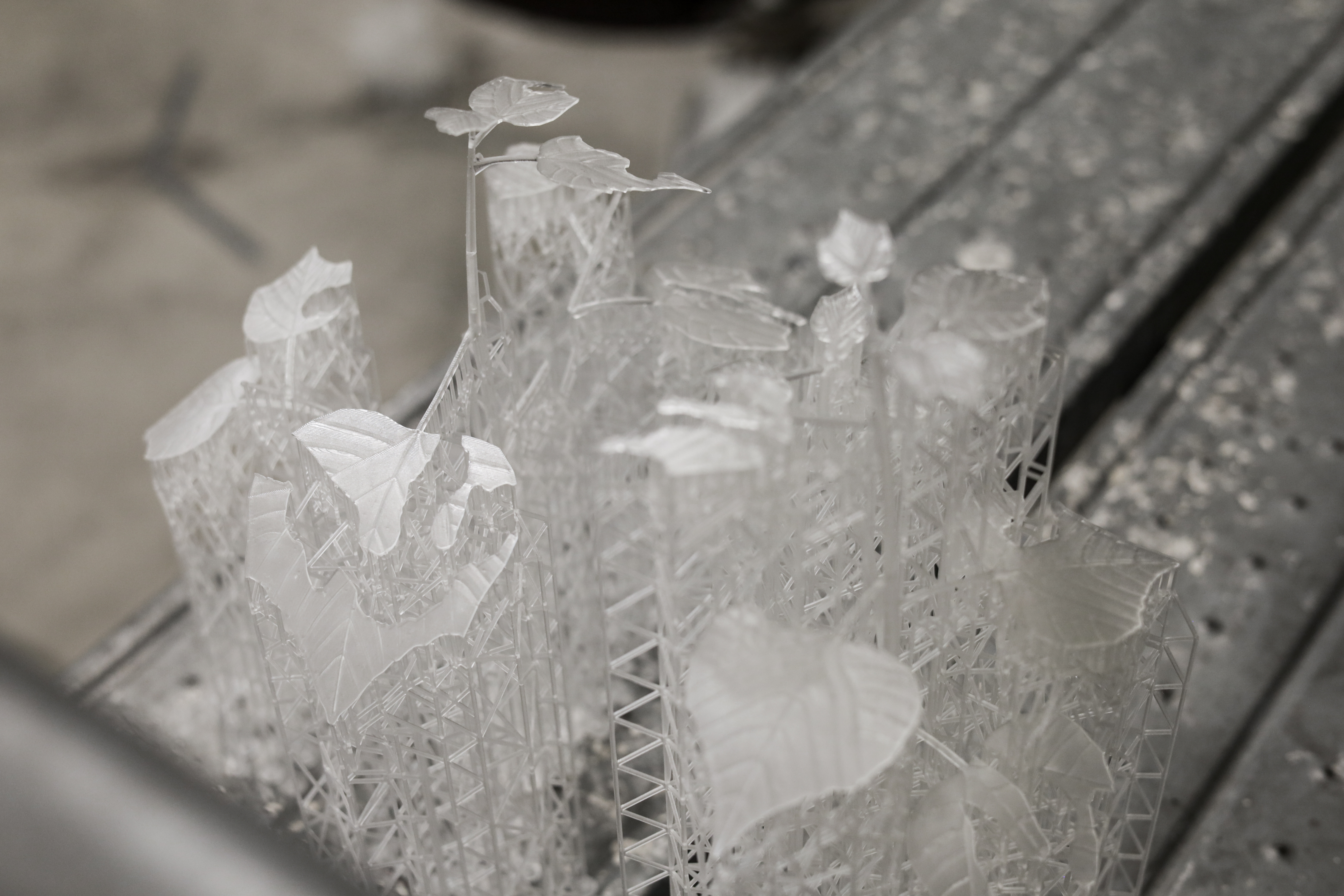 Pioneer Plants Printing Projects