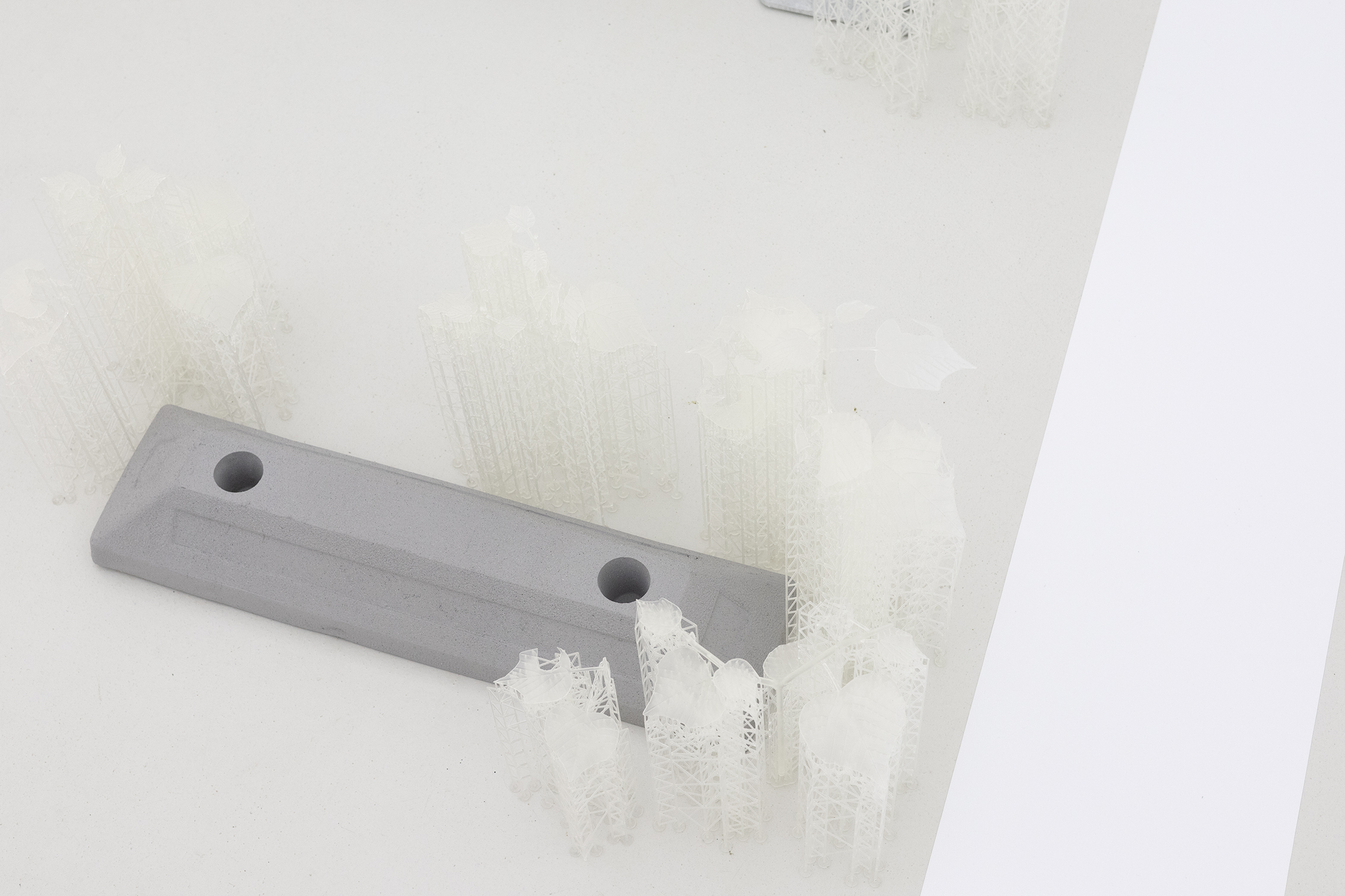 Pioneer Plants Printing Projects