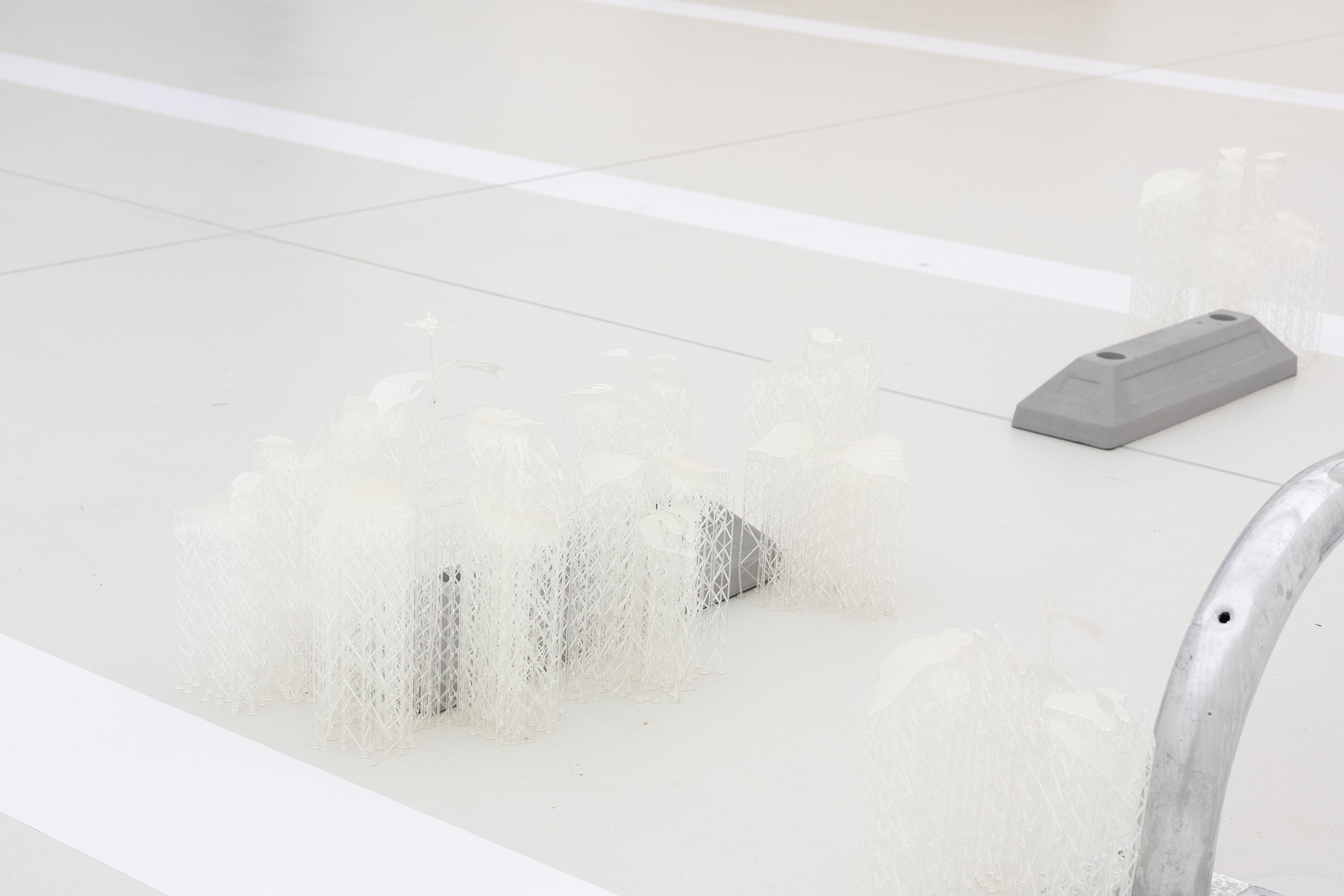 Pioneer Plants Printing Projects